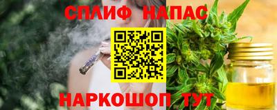 стафф Будённовск