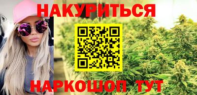стафф Будённовск