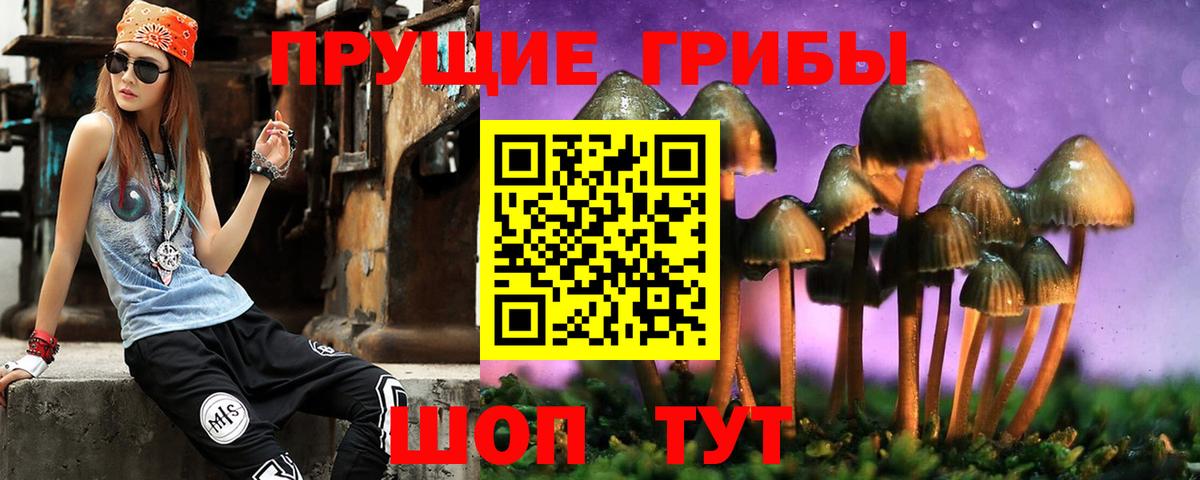 Галлюциногенные грибы Magic Shrooms  Вход с VPN  Сафоново 